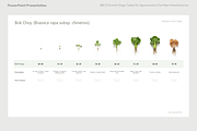 BBCH Growth Stages, Cabbages & Green, a Presentation Template by Ilia Design (Thumbnail 2 of 10)