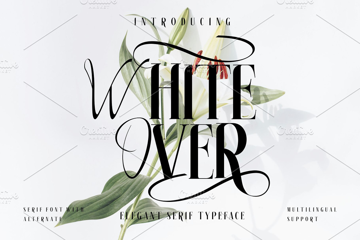 white over font serif, a Serif Font by azdaffstudio (Photo 14 of 14)