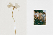 Subtle Paper Textures, a Texture Graphic by Design Squad (Thumbnail 3 of 7)