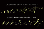 Octagon Calligraphy, a Script Font by Slex Studio (Thumbnail 3 of 8)