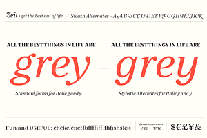 Zeit Serif Family