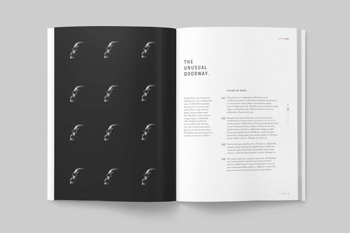 LUMINA Magazine, a Magazine Template by 46&2 Collective (Photo 8 of 27)