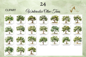 Watercolor Olive Trees Clipart