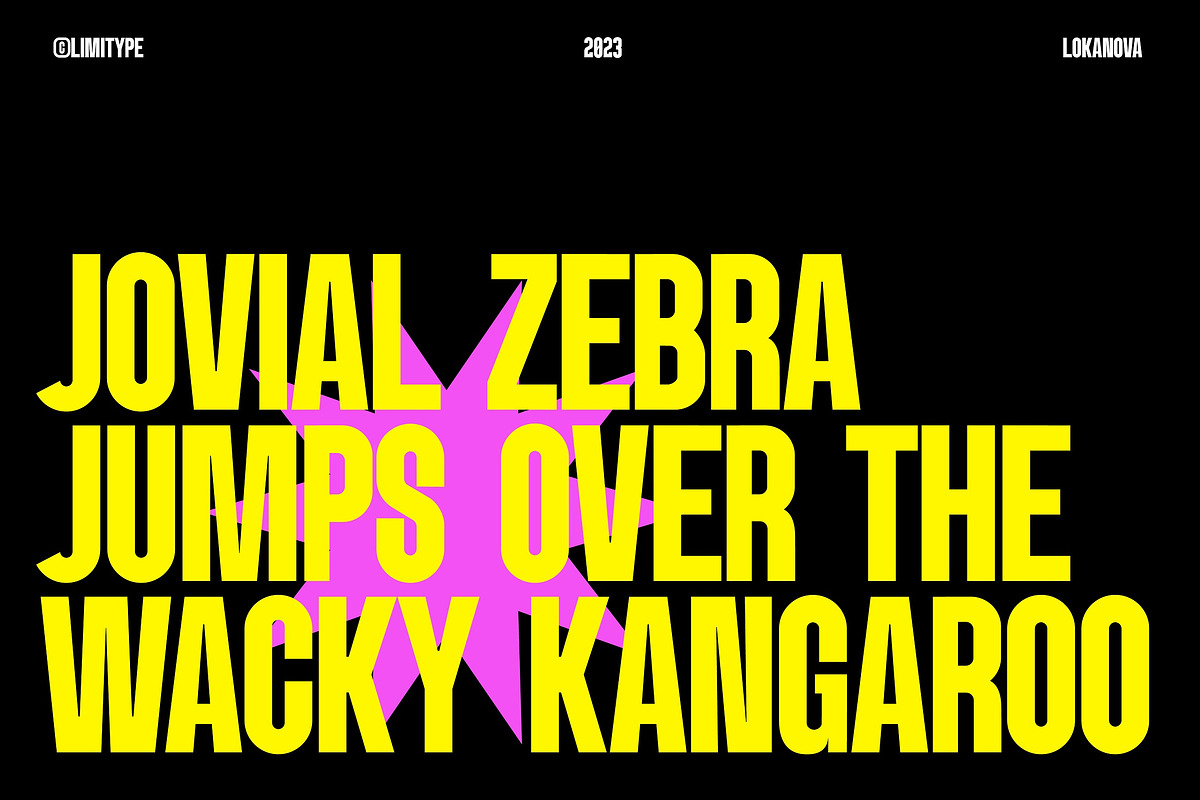 Lokanova - Modern Bold Font, a Sans Serif Font by limitype (Photo 3 of 17)
