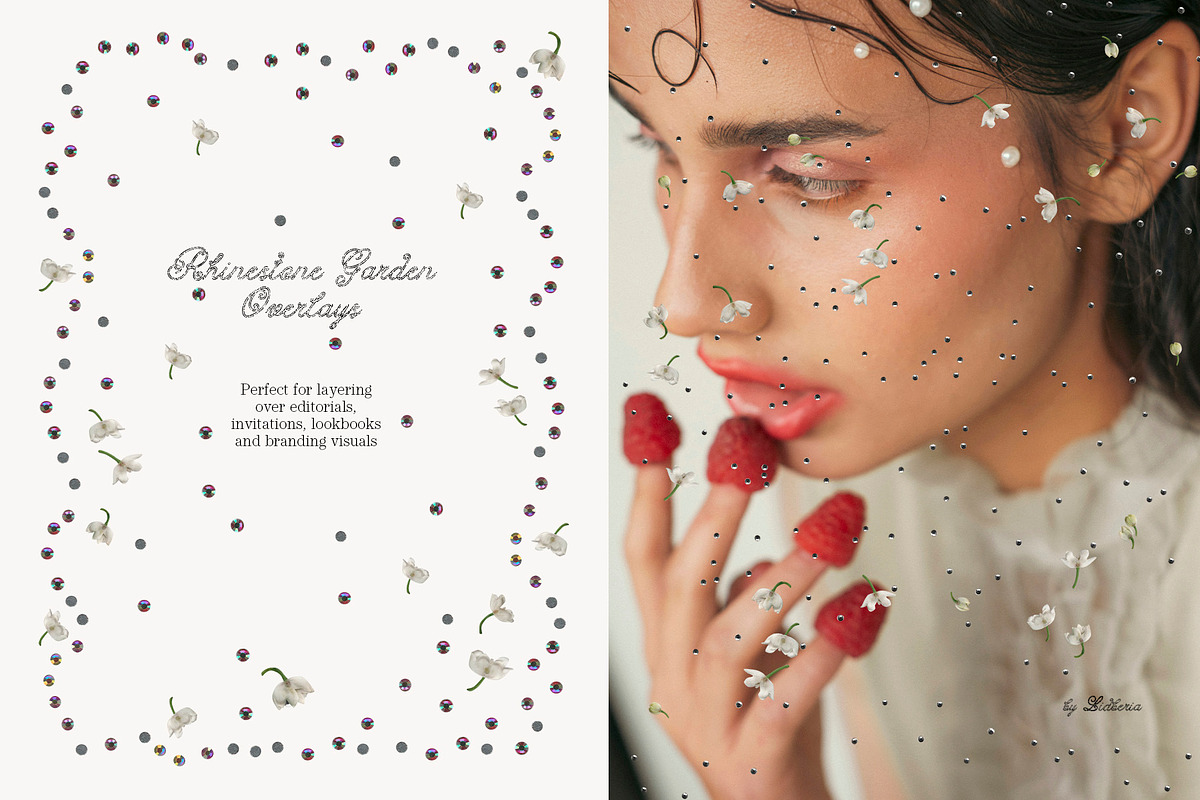 Rhinestone Garden Overlays, a Texture Graphic by Lidberia (Photo 8 of 11)