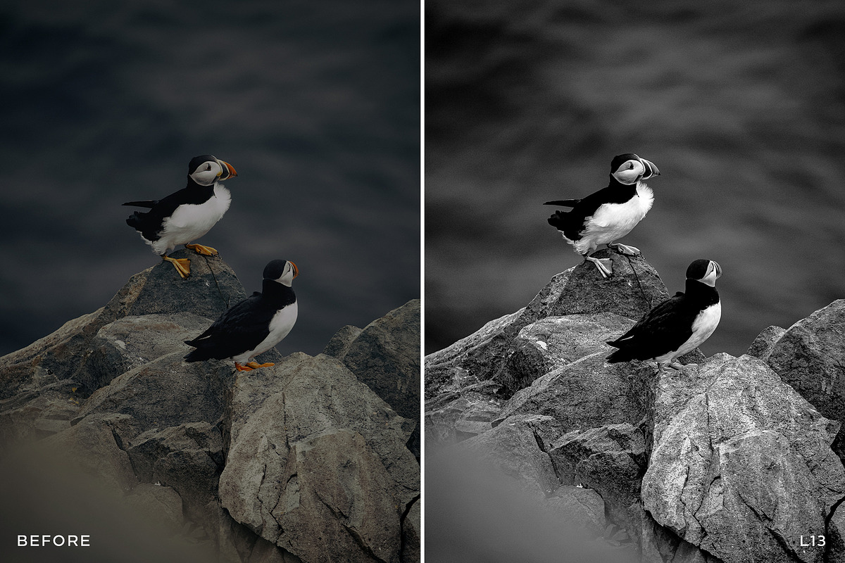15 Leica Lightroom Presets, a Preset Add-On by Lavinsky Art Store (Photo 10 of 16)