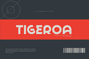 Tigeroa, a Sans Serif Font by khurasan (Thumbnail 1 of 6)