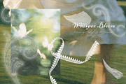 Whisper Bloom / Bokeh Collage Kit, an Object Graphic by Natali Batu (Thumbnail 6 of 14)