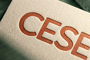 Ceselu - A Refined Luxury Serif, a Serif Font by Astuti Studio (Thumbnail 21 of 24)
