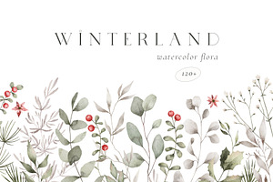Watercolor Winter. Christmas florals