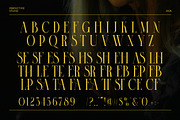 Cinose Elegant Serif Font, a Serif Font by Perfectype (Thumbnail 8 of 8)