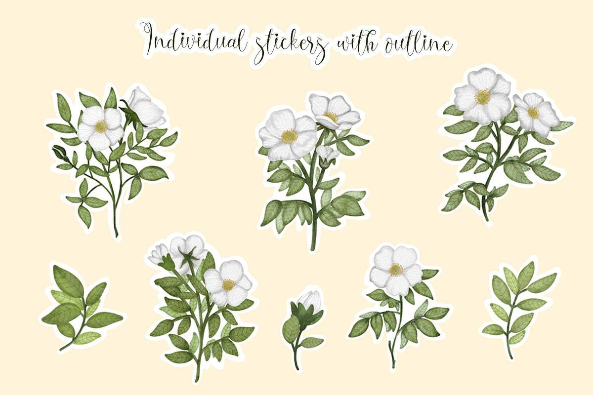 Cherokee rose clipart pattern set, a Decorative Illustration by Yelloo Fish (Photo 20 of 21)