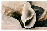 Lily Collection · Calla Lily Flowers, a Decorative Illustration by milatovar (Thumbnail 9 of 16)