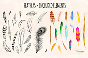 Feathers Watercolor and Ink Bundle, an Animal Illustration by Violet LeBeaux (Thumbnail 1 of 4)