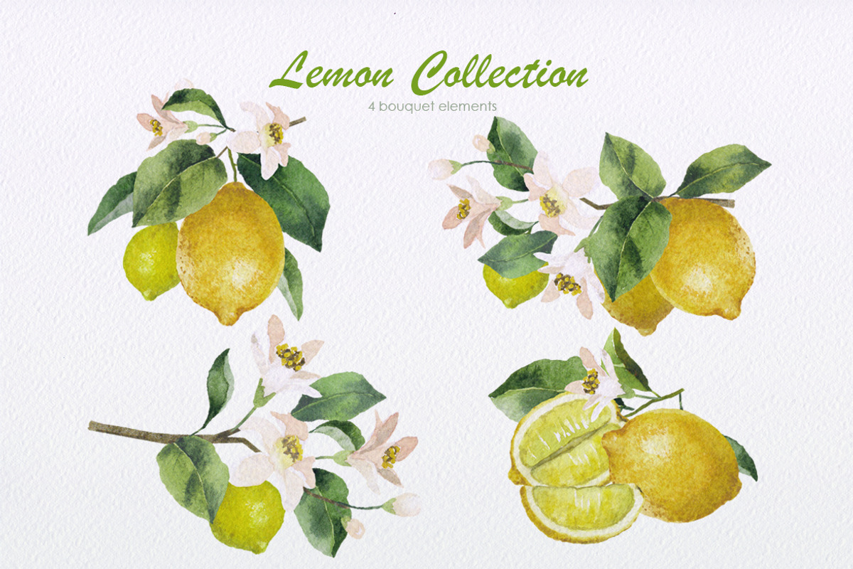 Lemon Collection, a Food Illustration by oKOLOstyle (Photo 2 of 8)