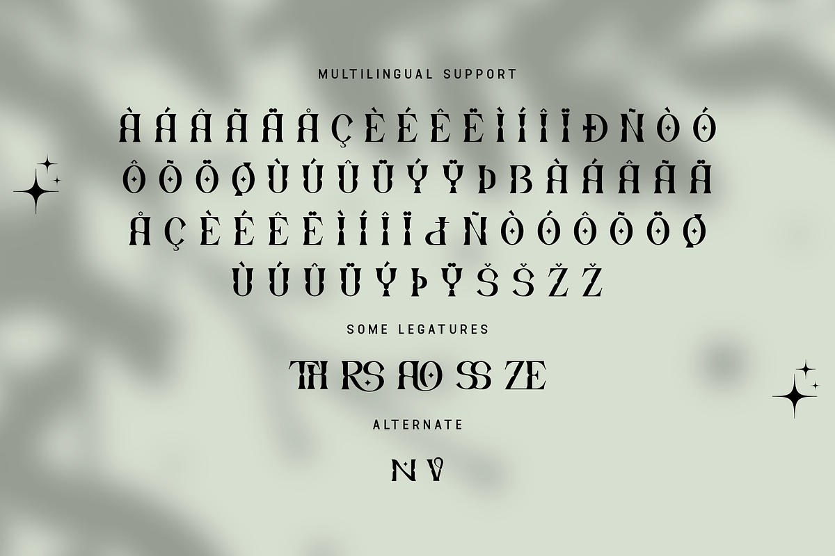 Drivzen - Modern Serif Typeface, a Serif Font by overlaytemplates (Photo 5 of 5)