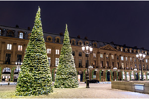Illuminated Christmas trees on snowy, an Architecture Photo by Leonid Andronov