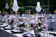 A Garden of Roses | Wedding, Events, a Nature Photo by Farewell (Thumbnail 4 of 41)