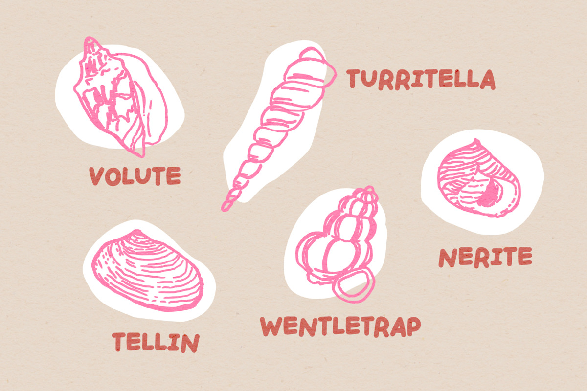 HANDPICKED SEASHELLS | Bouncy Font, a Handwritten Font by type peace (Photo 3 of 11)