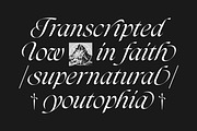 Darkslide - Elegant Display Serif, a Font by Swandtype (Thumbnail 7 of 9)