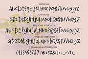 Ginger and Kale, a Sans Serif Font by theinkaffair (Thumbnail 6 of 6)