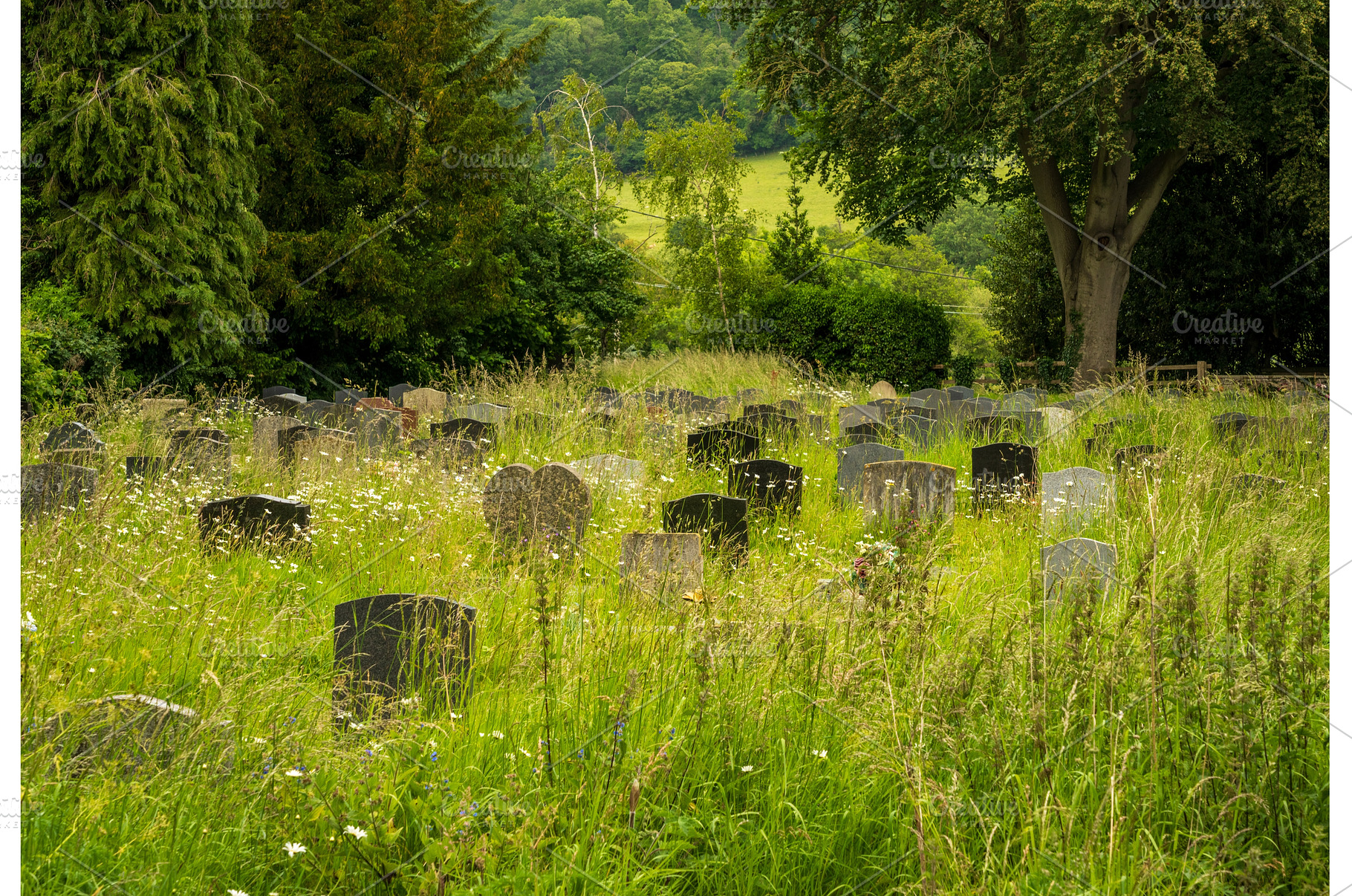 An old and serene graveyard in the, a Nature Photo by Backyard Stock