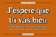 CS Shalto – Retro Font, a Serif Font by Craft Supply Co. (Thumbnail 4 of 8)