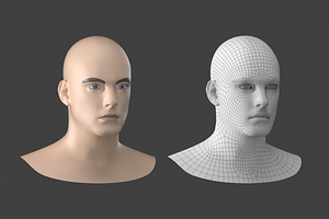 Natural Male Head 01 Generic Mesh