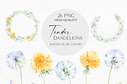Tender Dandelions, an Object Illustration by Olga Koelsch (Thumbnail 6 of 7)