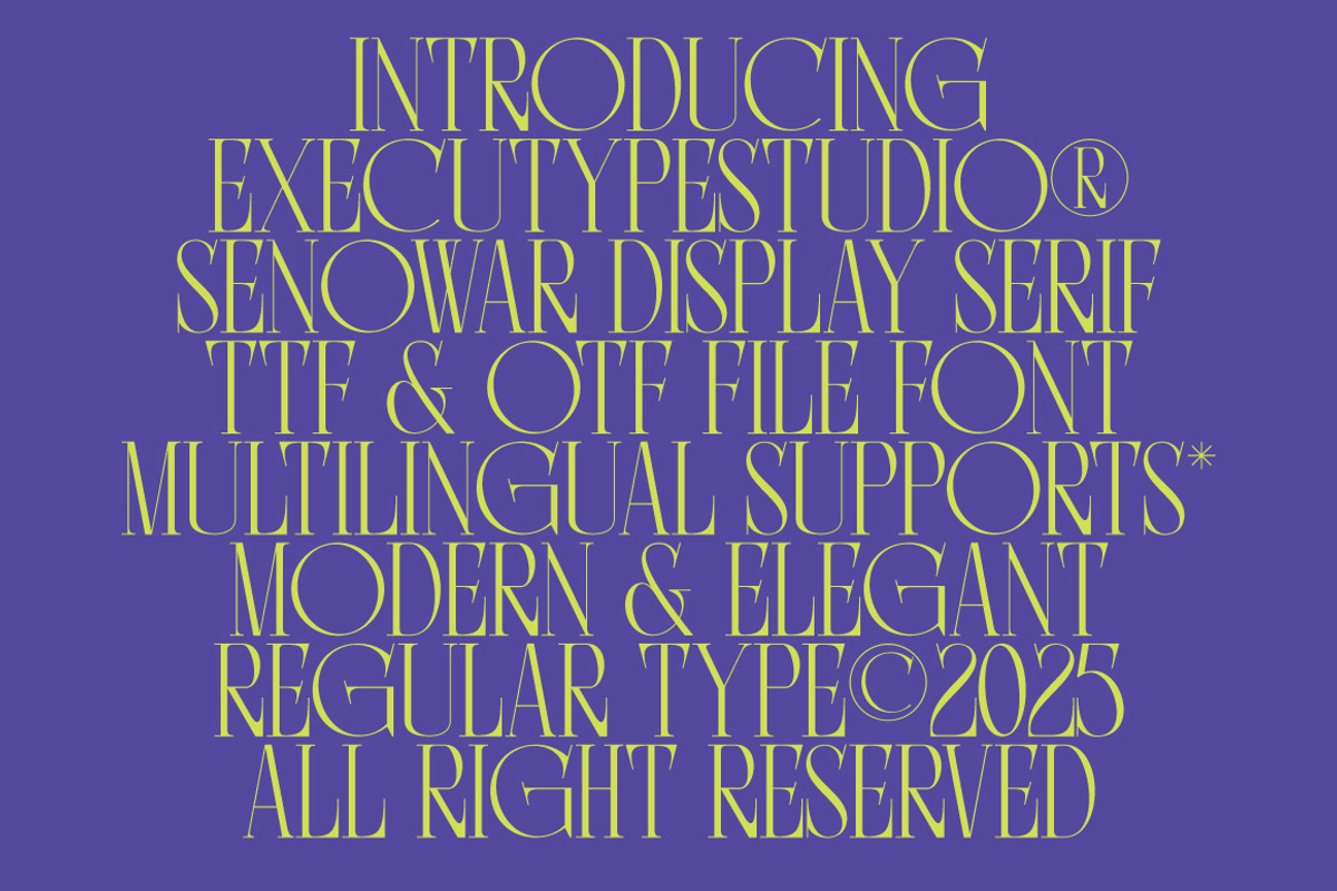 Senowar Display, a Sans Serif Font by executypeStudio (Photo 4 of 11)