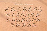 Poleemanik, a Script Font by Integritype Studio (Thumbnail 9 of 15)