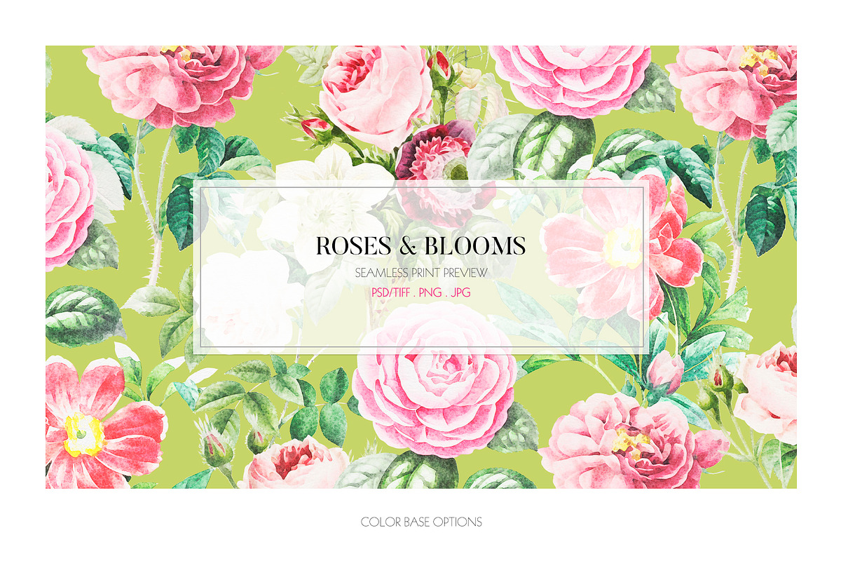 Roses & Blooms, a Pattern Graphic by TSTUDIO (Photo 9 of 9)