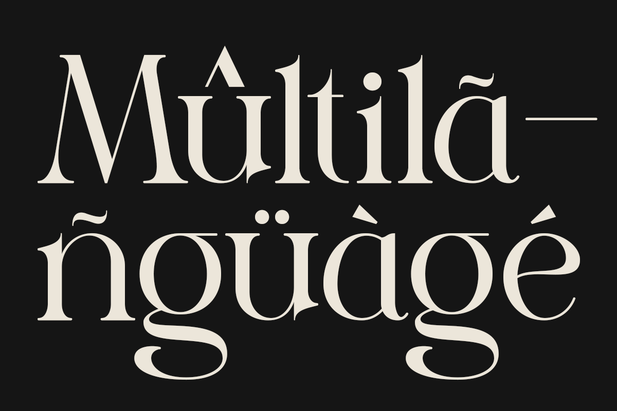 Acne - Modern Branding Typeface, a Serif Font by Sohel Studio (Photo 5 of 11)