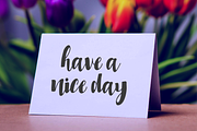 Millicious Font Duo, a Script Font by 24Design Studios (Thumbnail 2 of 8)