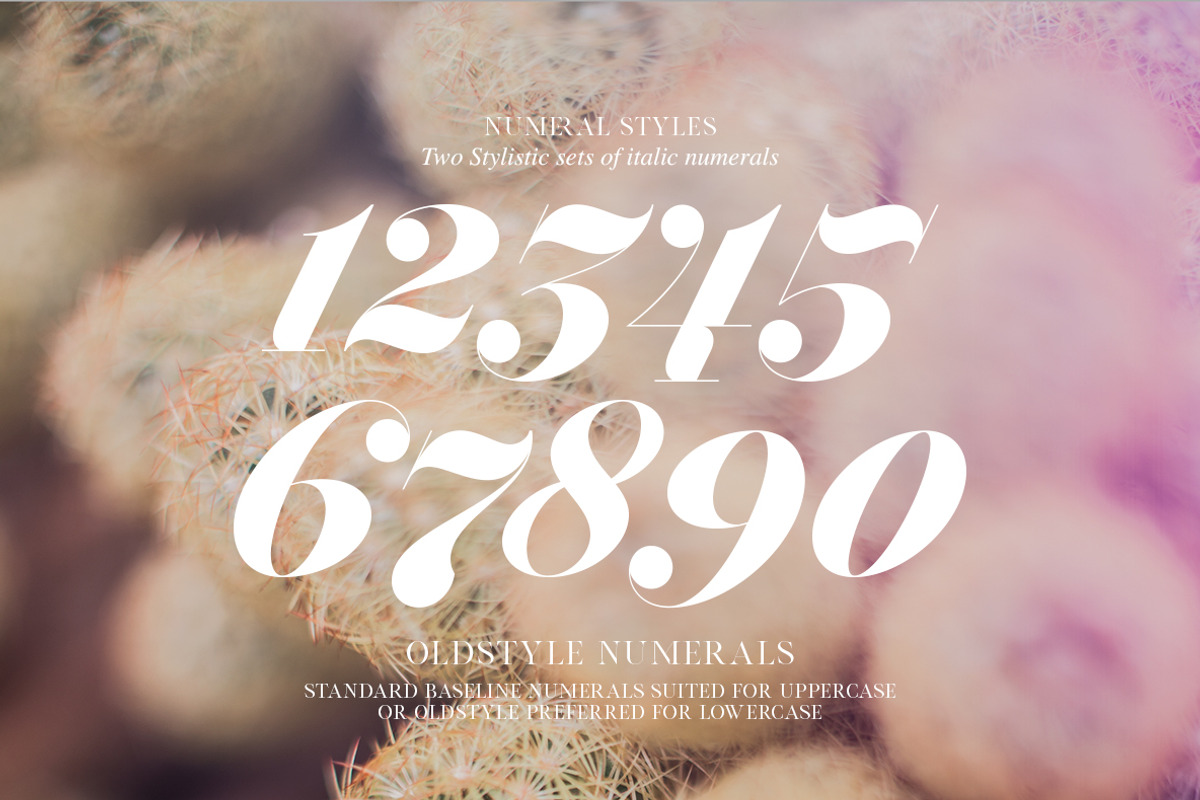 Font Bundle | 25 in 1, a Sans Serif Font by Anthony James (Photo 17 of 45)