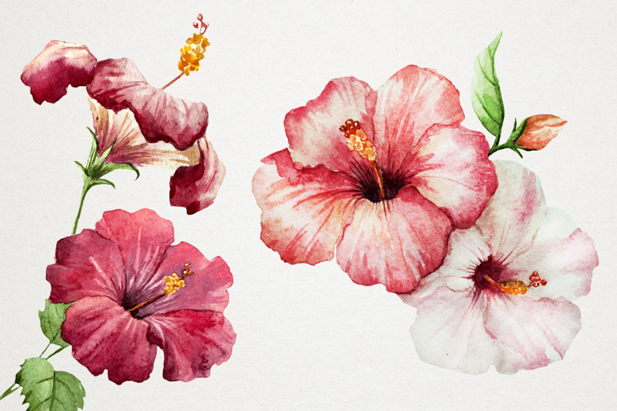 Tropical watercolor set+PNG! preview 3