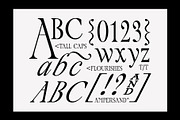 Palace Serif Typeface, a Serif Font by Tropical Type (Thumbnail 4 of 13)