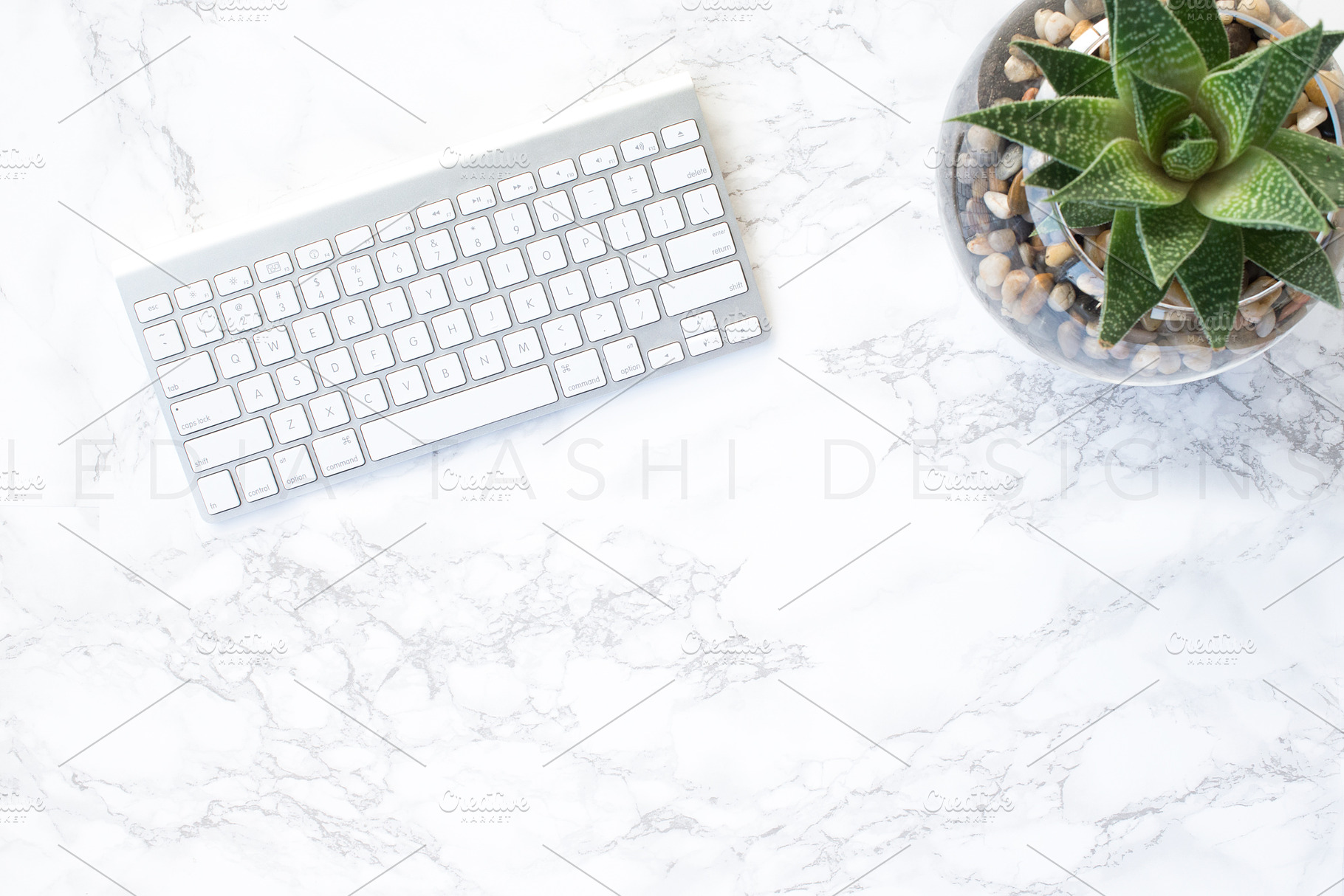 Styled stock photography | cactus containing tablet styled stock, styled, a Beauty & Fashion Photo by Ledia Tashi Designs