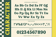 Curlonia Retro Display Serif Font, a Serif Font by Rasio Studio (Thumbnail 2 of 9)