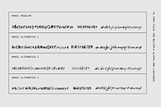 MANIC Erratic Handwritten Font, a Handwritten Font by TYPEHEIST (Thumbnail 7 of 12)