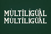 Vestovia Display Serif Font, a Sans Serif Font by Storytype Studio (Thumbnail 12 of 15)