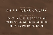 Belinca Display Serif Font, a Serif Font by Graphicxell (Thumbnail 8 of 8)