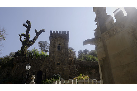 Beautiful architecture of the old, a Nature Photo by Media Whale Stock