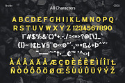 Broide – Display Serif, a Serif Font by Craft Supply Co. (Thumbnail 6 of 8)