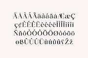 Backswings Modern Serif Family Font, a Serif Font by UICreative (Thumbnail 10 of 13)