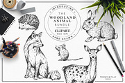 Hand Drawn Woodland Animals, an Animal Illustration by Tommy & Tilly Design (Thumbnail 1 of 2)