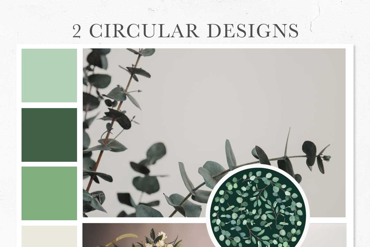 Modern Botanicals Florals & Leaves, an Illustration by Momo Studio (Photo 9 of 15)