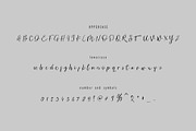 Ambre Script Font, a Script Font by Giant Design (Thumbnail 5 of 6)