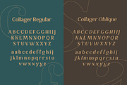Collager | Modern Serif Family, a Serif Font by Gilar Studio (Thumbnail 6 of 11)