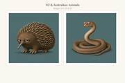 NZ & Australian Animals, Set 20, an Animal Illustration by LanternkinStudio (Thumbnail 8 of 12)